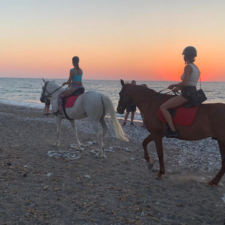 Maison Caroual Erquy 500M De La Plage Dış mekan fotoğraf