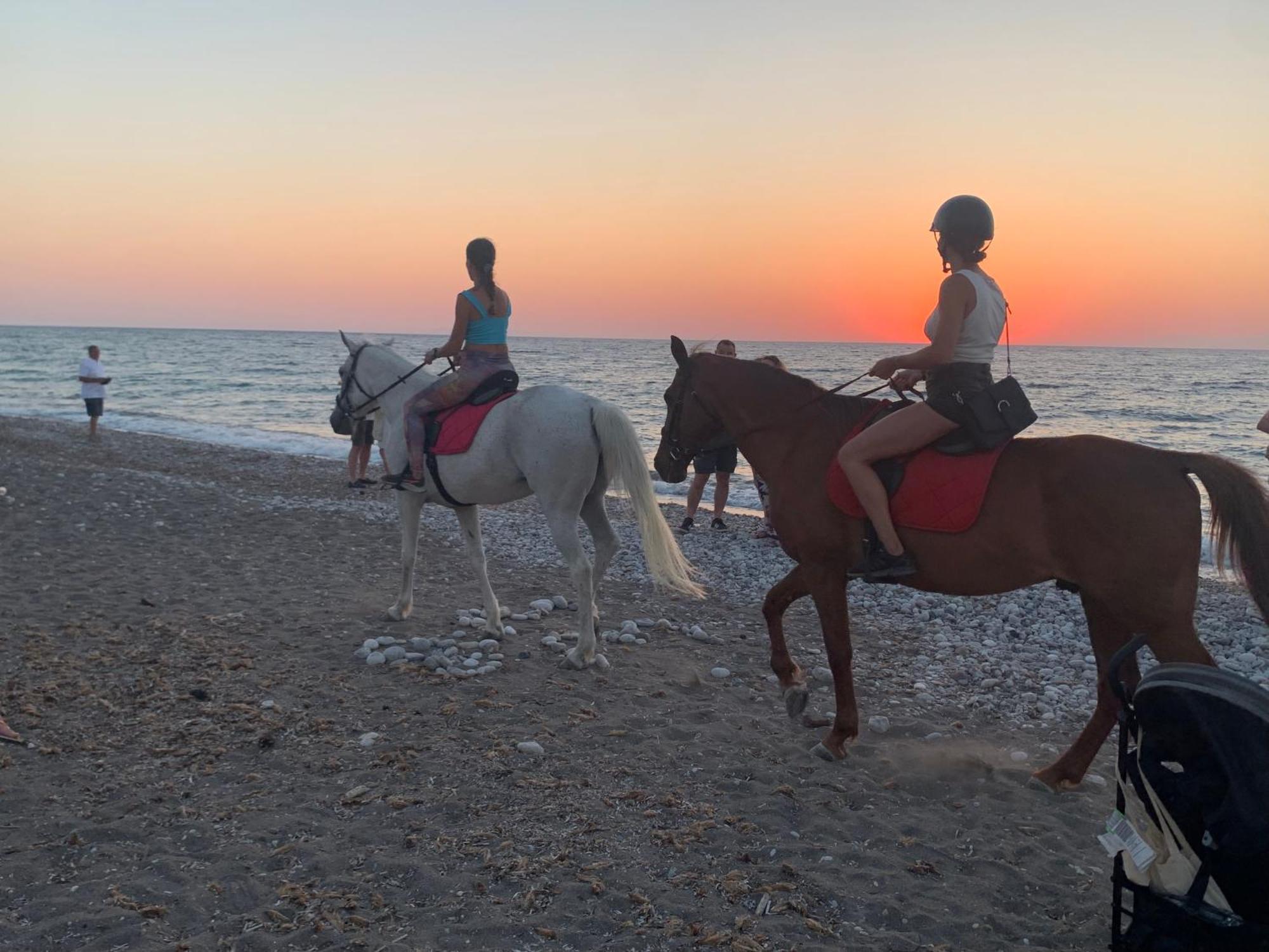 Maison Caroual Erquy 500M De La Plage Dış mekan fotoğraf